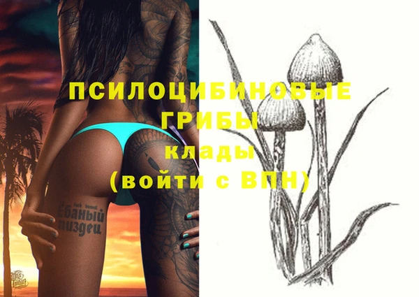 MDMA Premium VHQ Алзамай