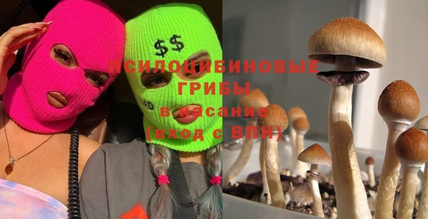 круглые Алексин
