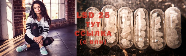 PSILOCYBIN Покачи
